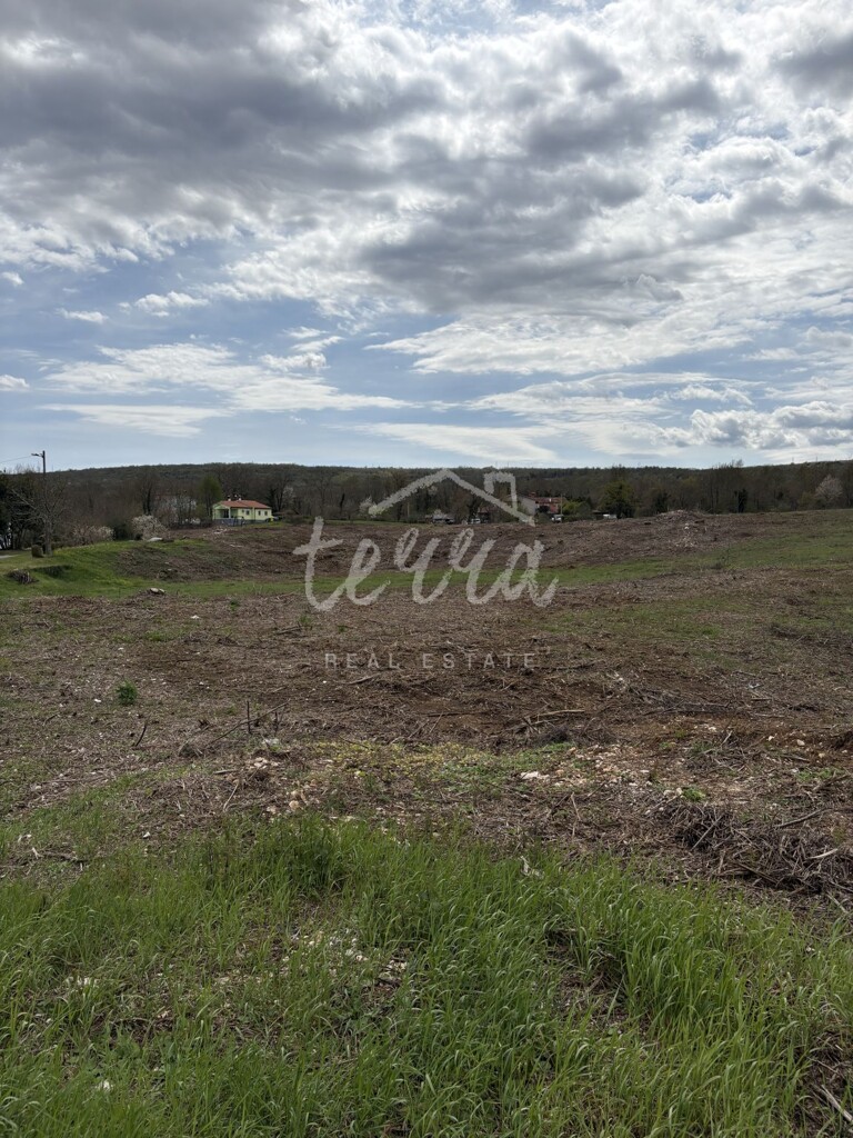 Image 6340040 - 6