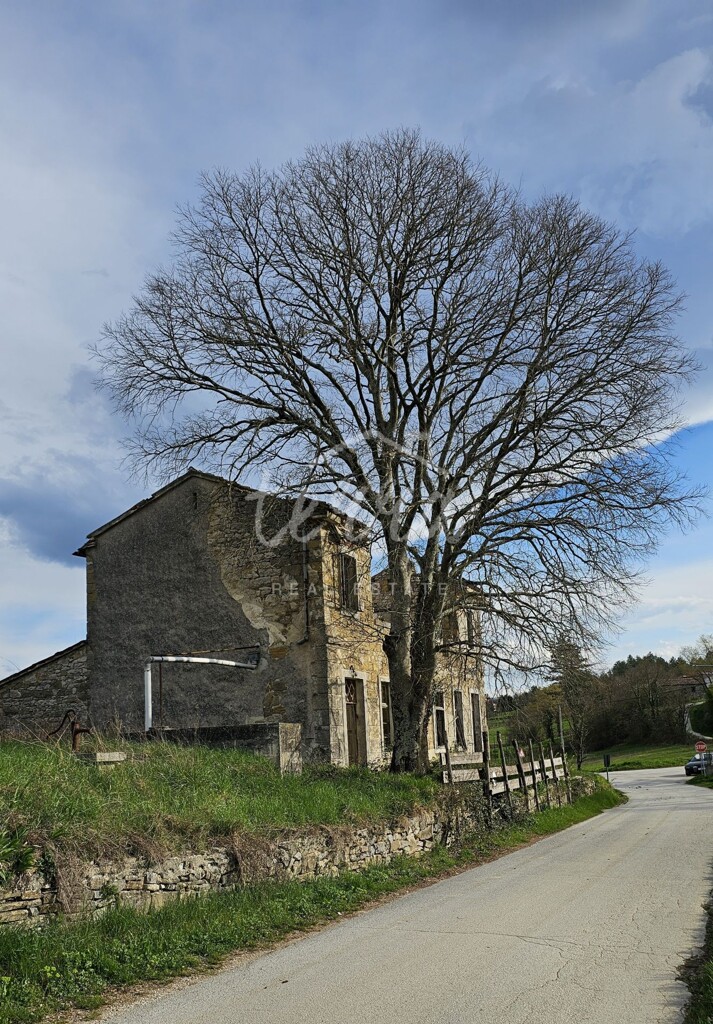 Image 6340042 - 2