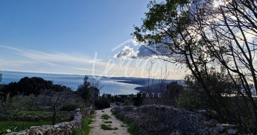 Thumbnail 6340054 - 3