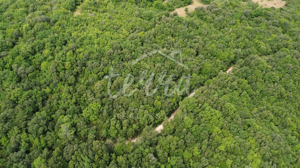 Image 6340056 - 3
