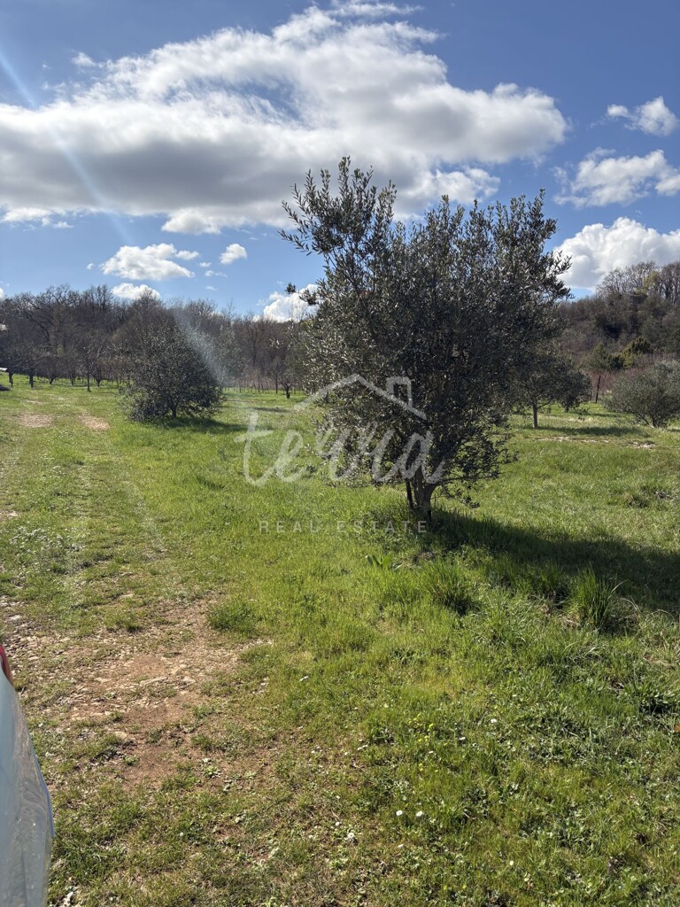 Image 6340057 - 6
