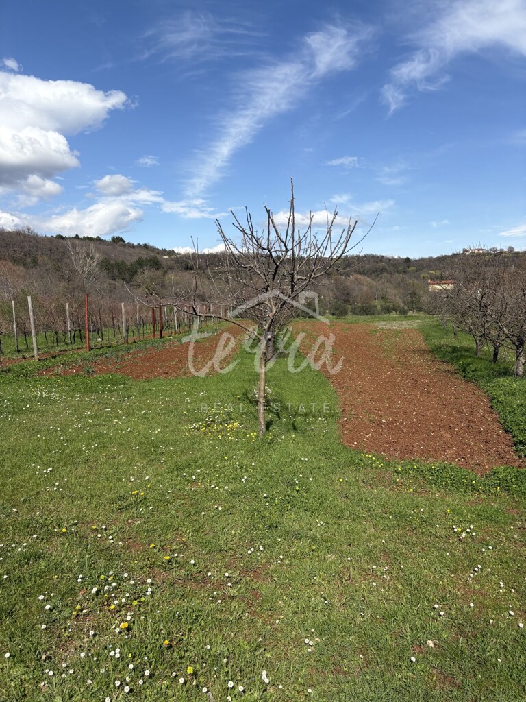 Image 6340057 - 9