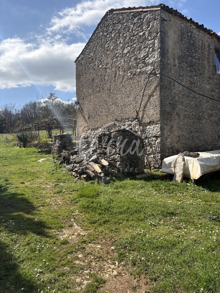 Image 6340057 - 3