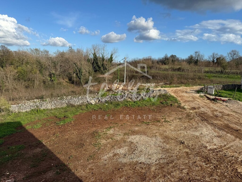 Image 6340062 - 2