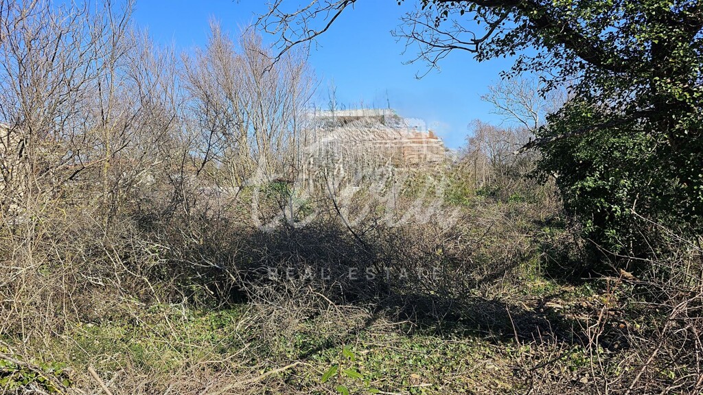 Image 6340084 - 3