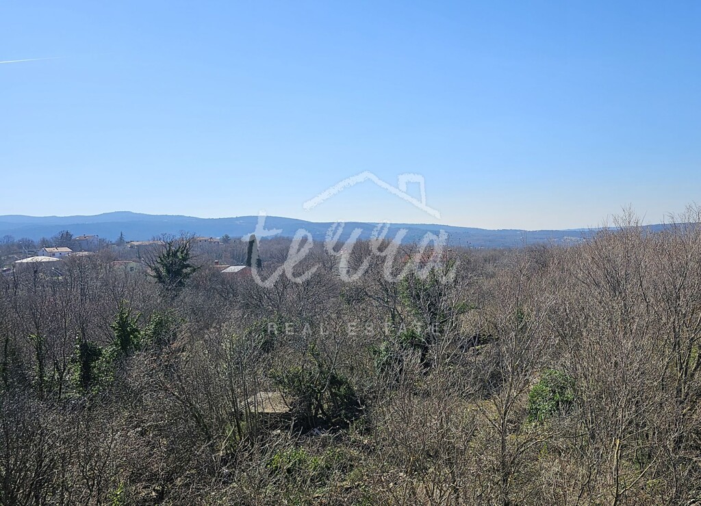 Image 6340084 - 5