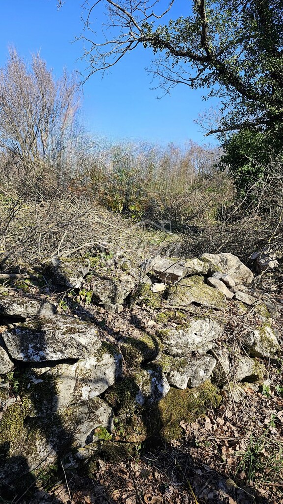 Image 6340084 - 4