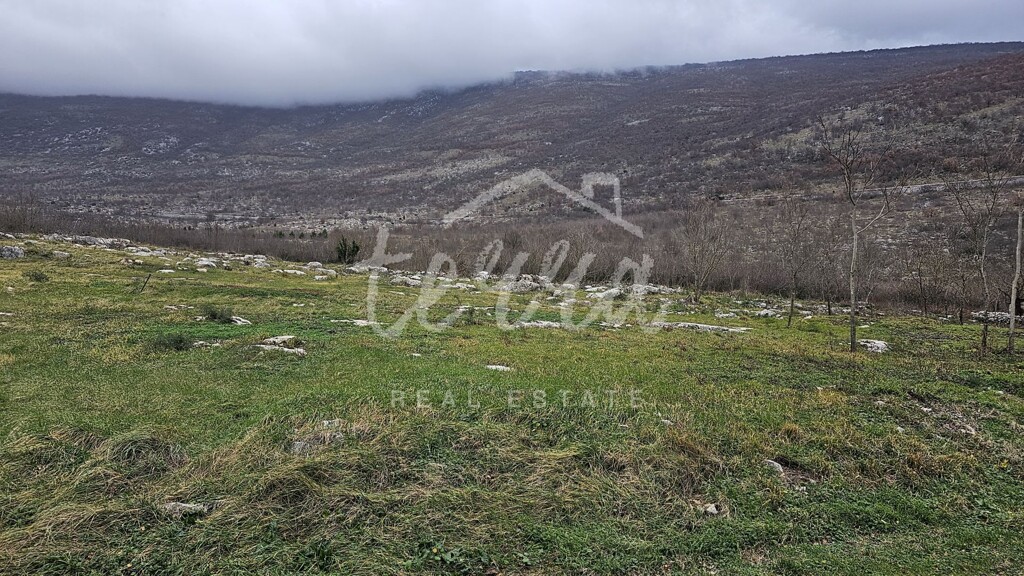 Image 6340090 - 3