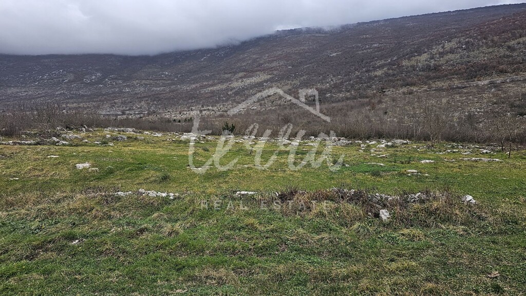 Image 6340093 - 3