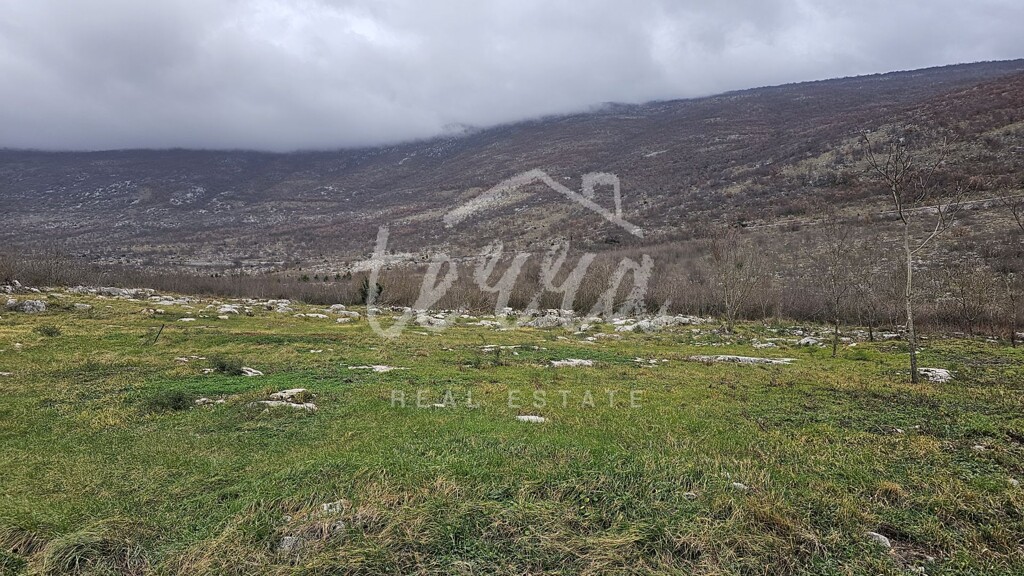 Image 6340094 - 2