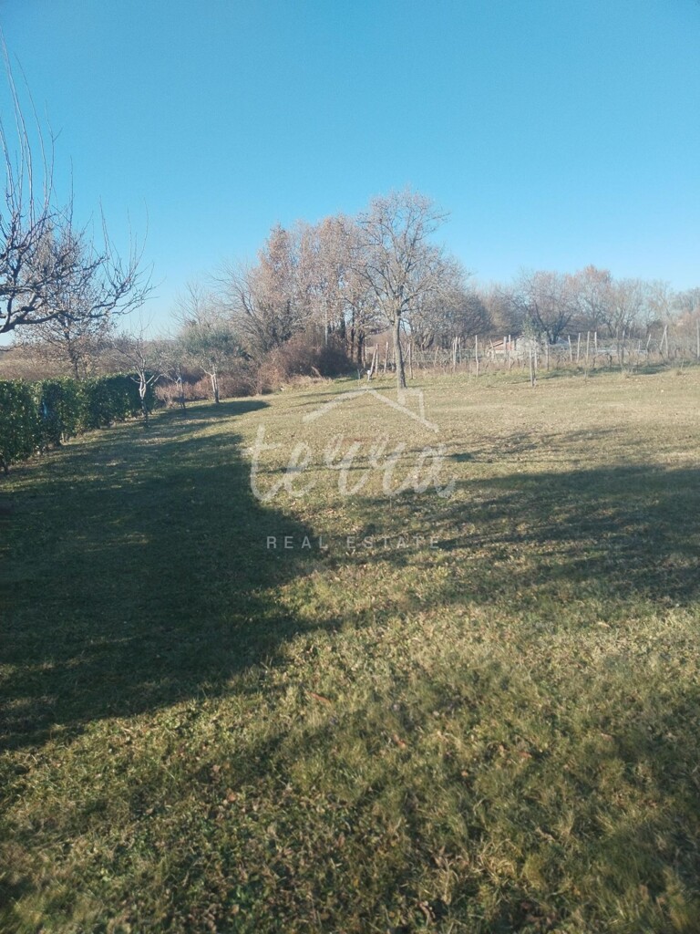 Image 6340103 - 17