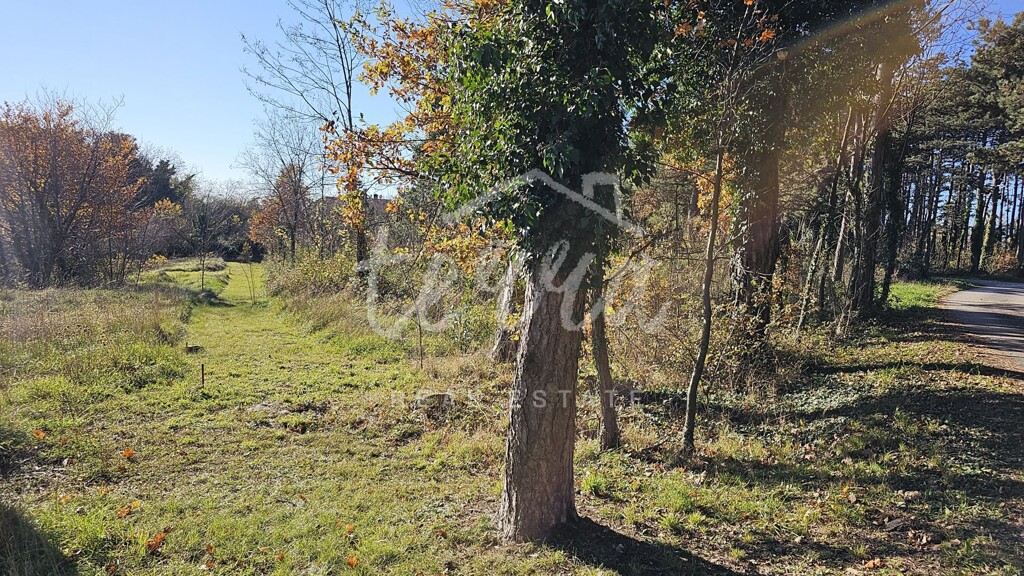Image 6340113 - 1