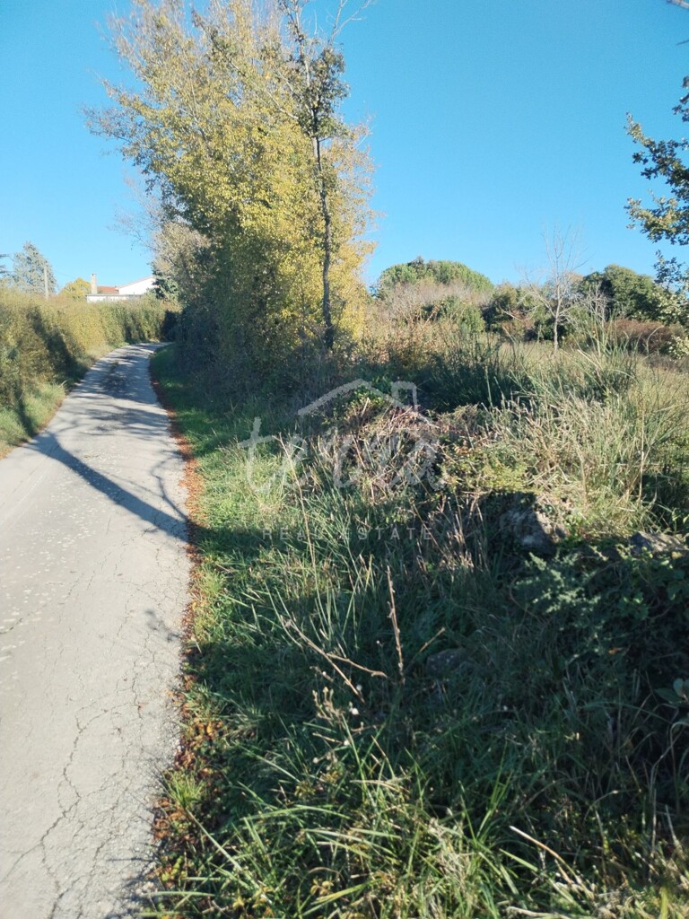 Image 6340114 - 6