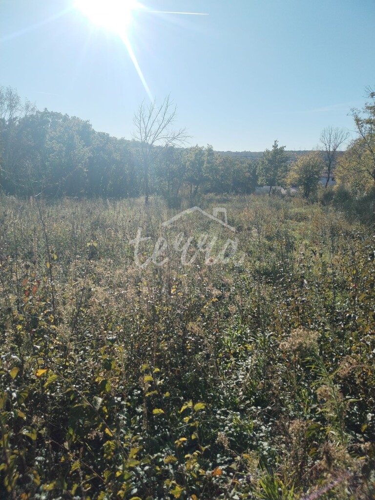 Image 6340114 - 4