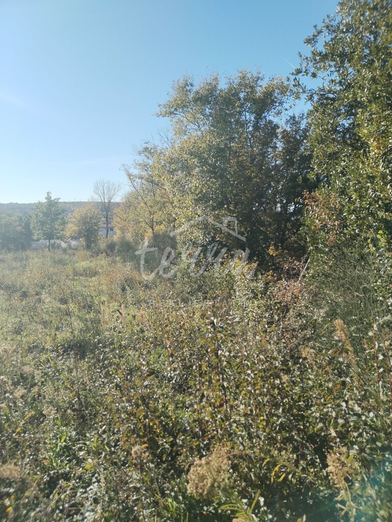 Image 6340115 - 5