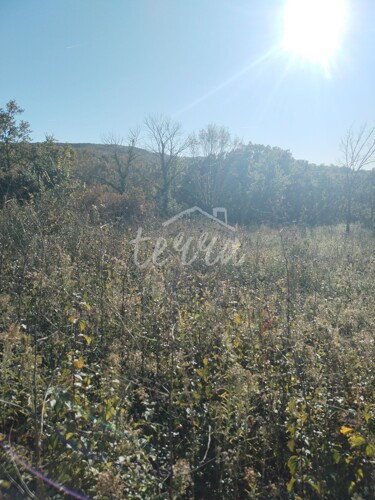 Thumbnail 6340115 - 4