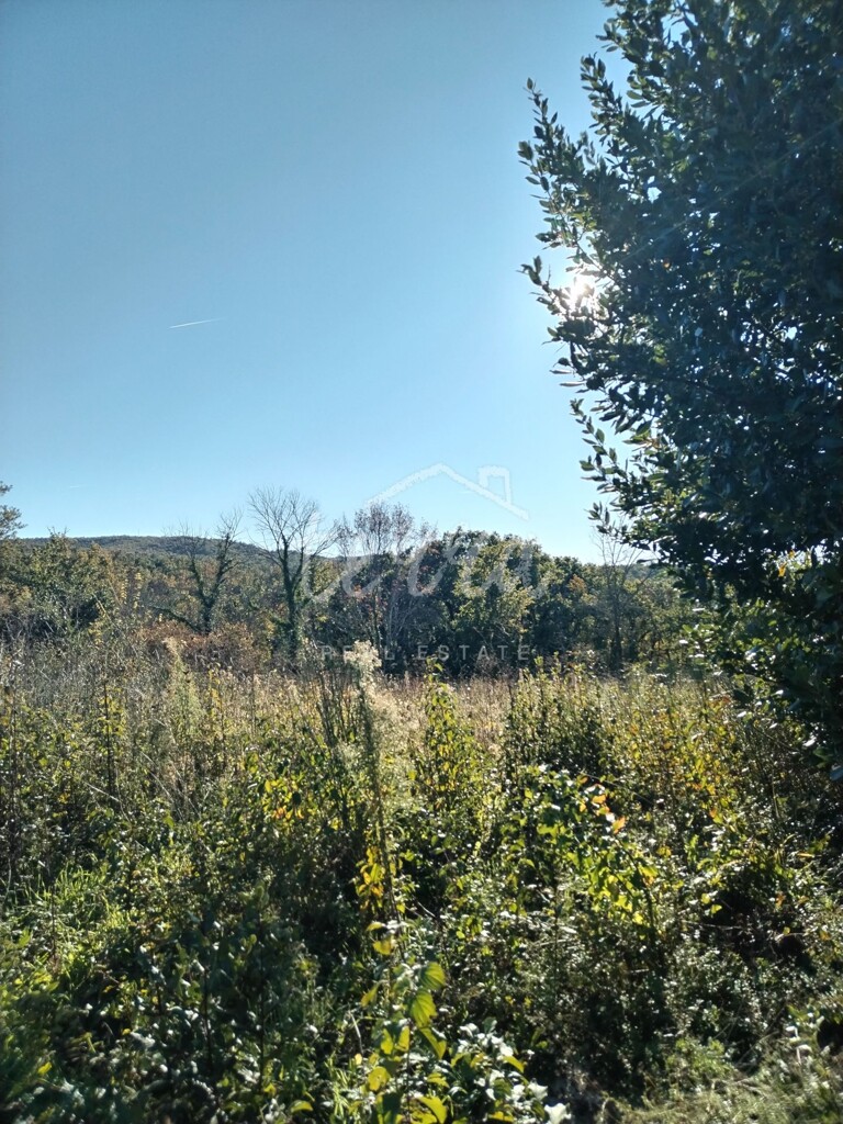 Image 6340115 - 3