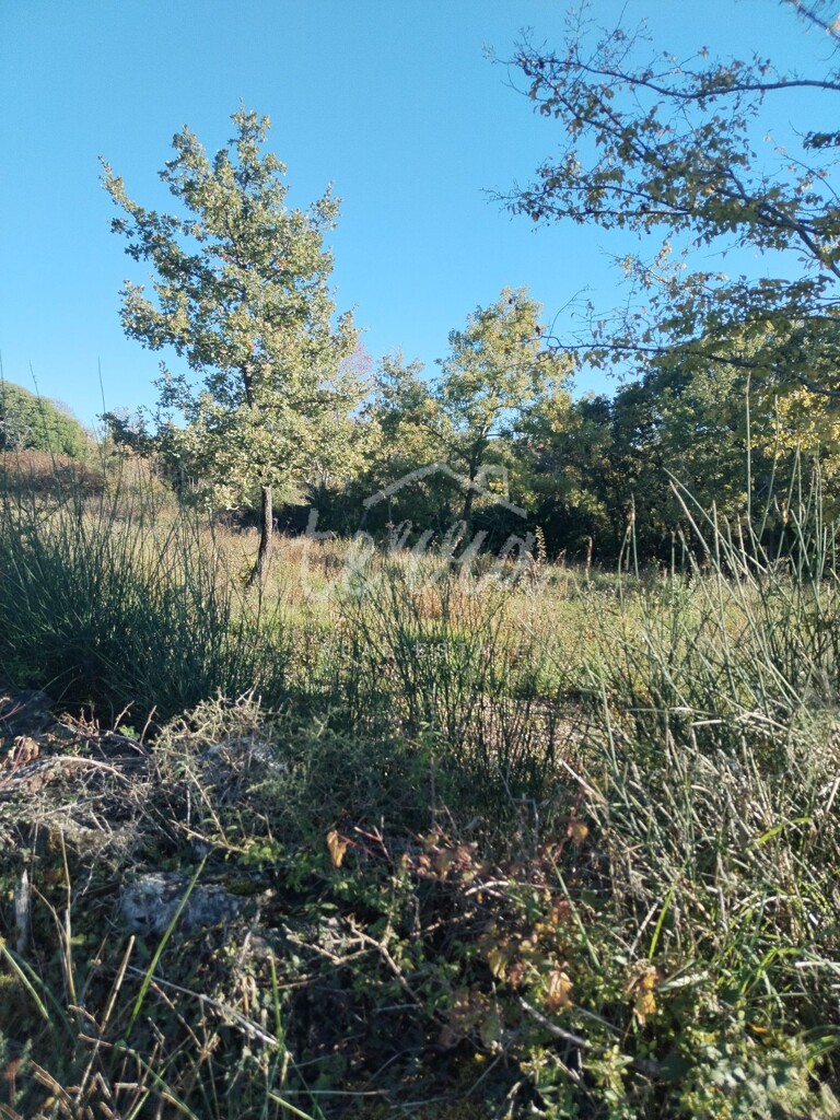 Image 6340115 - 1