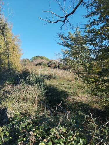 Thumbnail 6340127 - 8