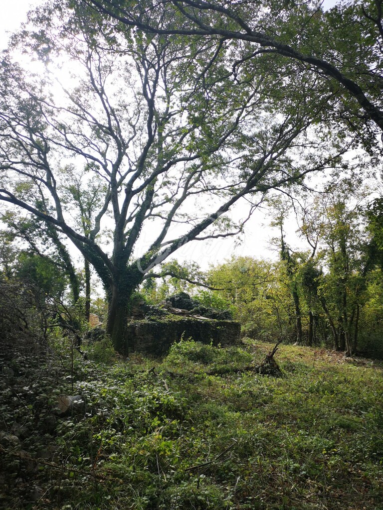 Image 6340131 - 2