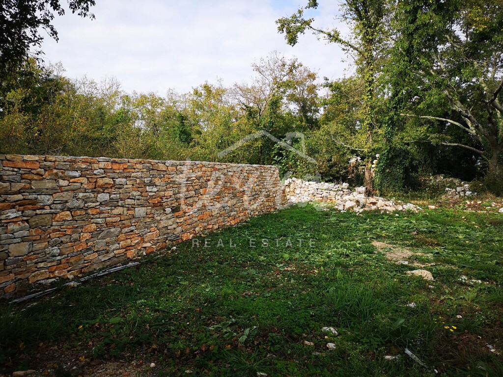 Image 6340139 - 8