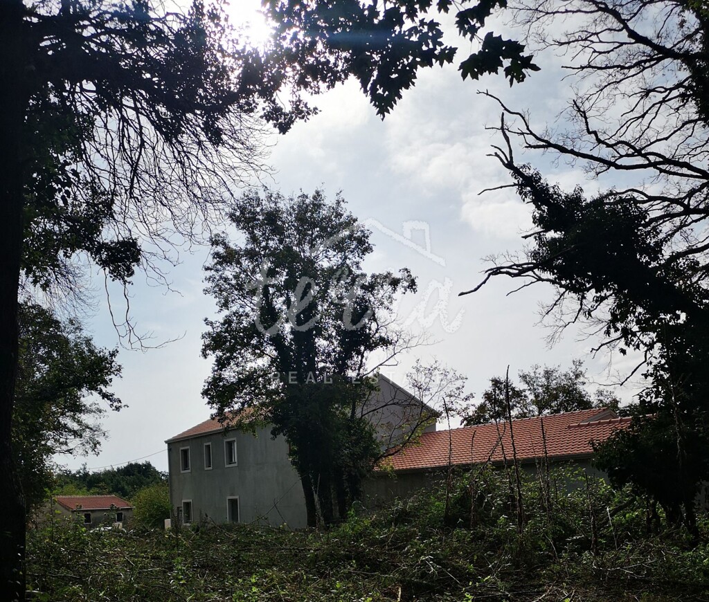 Image 6340139 - 12