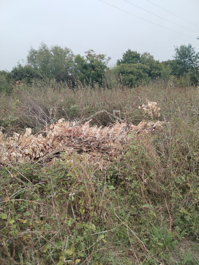 Image 6340158 - 3