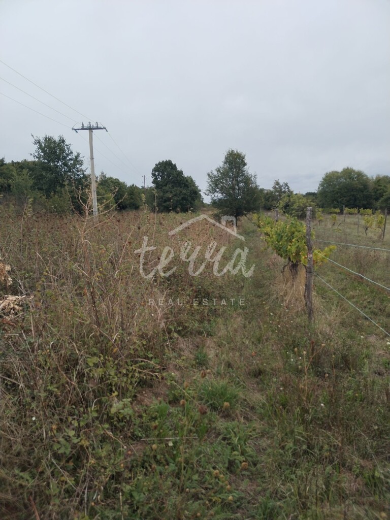Image 6340158 - 4