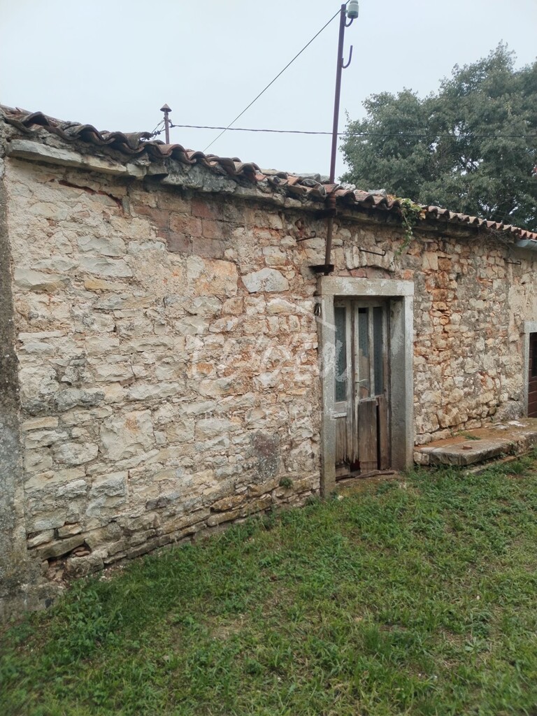 Image 6340159 - 3