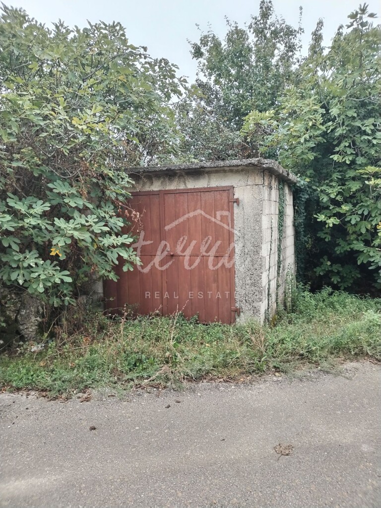 Image 6340159 - 5