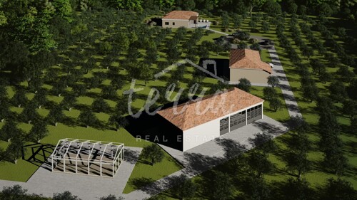 Thumbnail 6340185 - 10