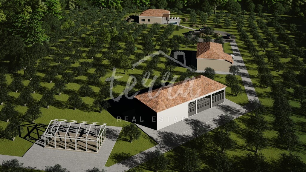 Image 6340185 - 10