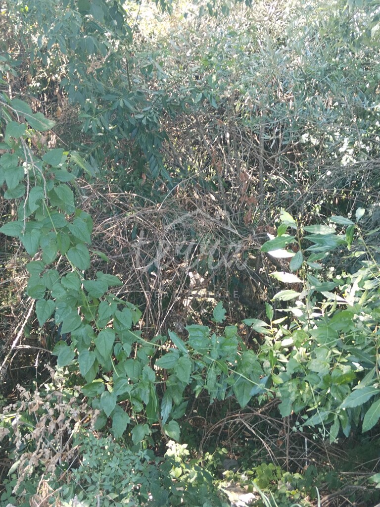 Image 6340186 - 5