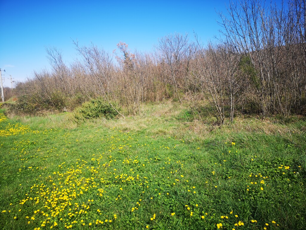 Image 6340188 - 1