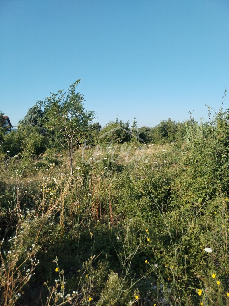 Image 6340190 - 1
