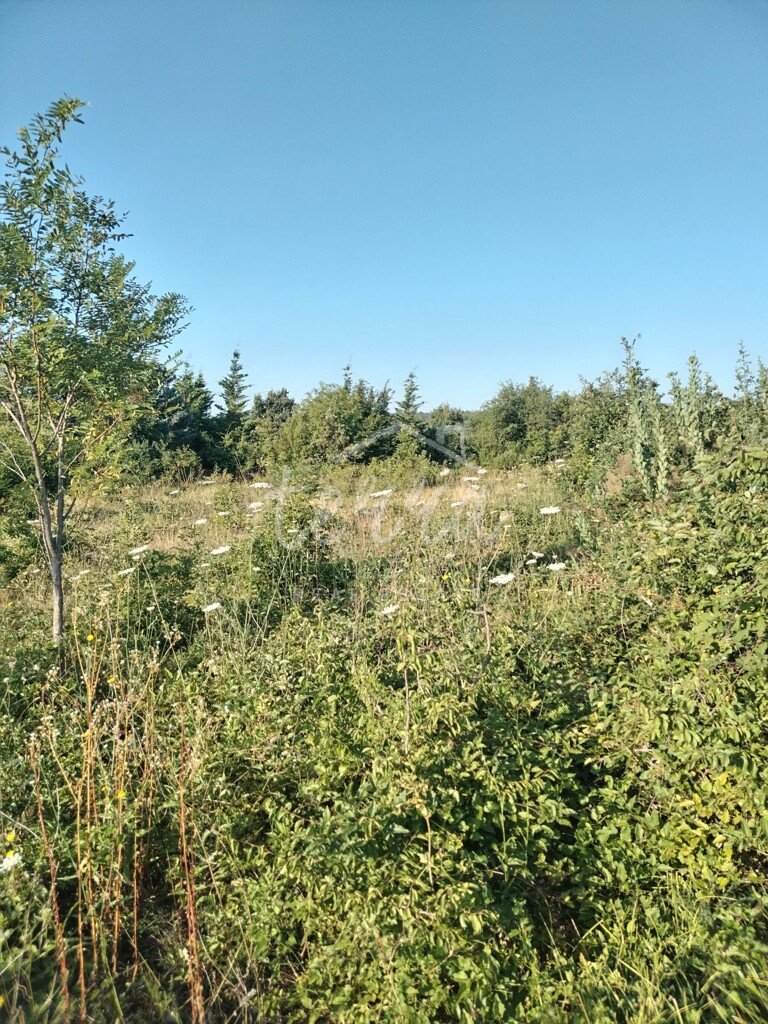 Image 6340190 - 2
