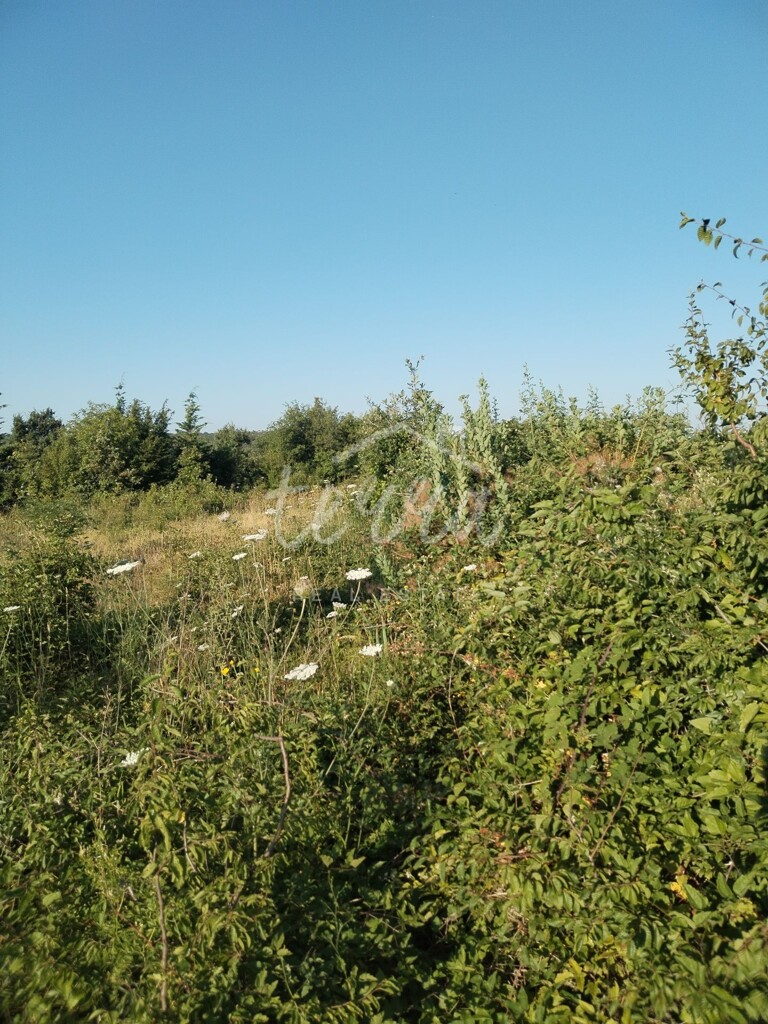 Image 6340190 - 4