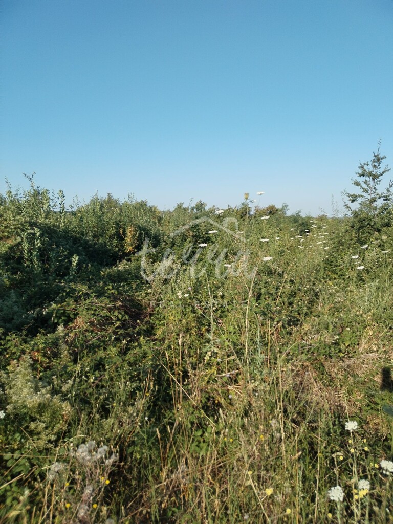 Image 6340190 - 3