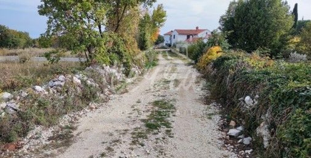 Image 6340195 - 5