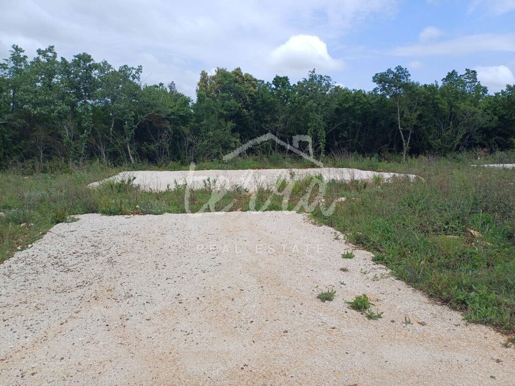 Image 6340197 - 1
