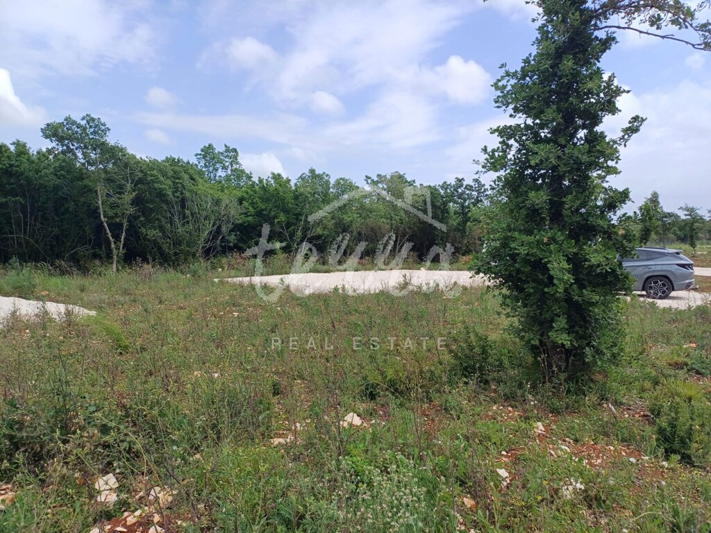 Image 6340197 - 4