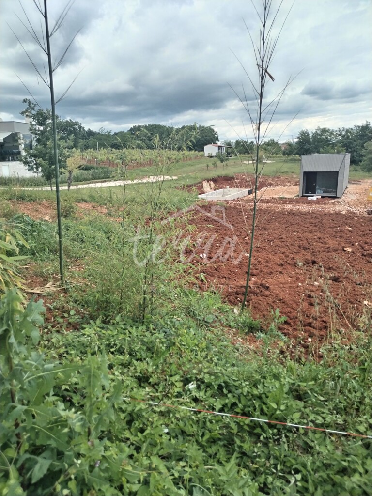Image 6340208 - 6