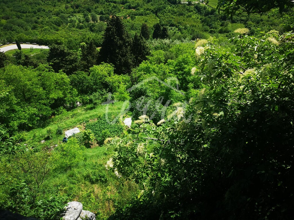 Image 6340216 - 6