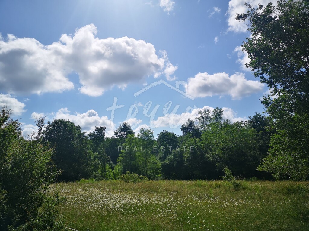 Image 6340220 - 1