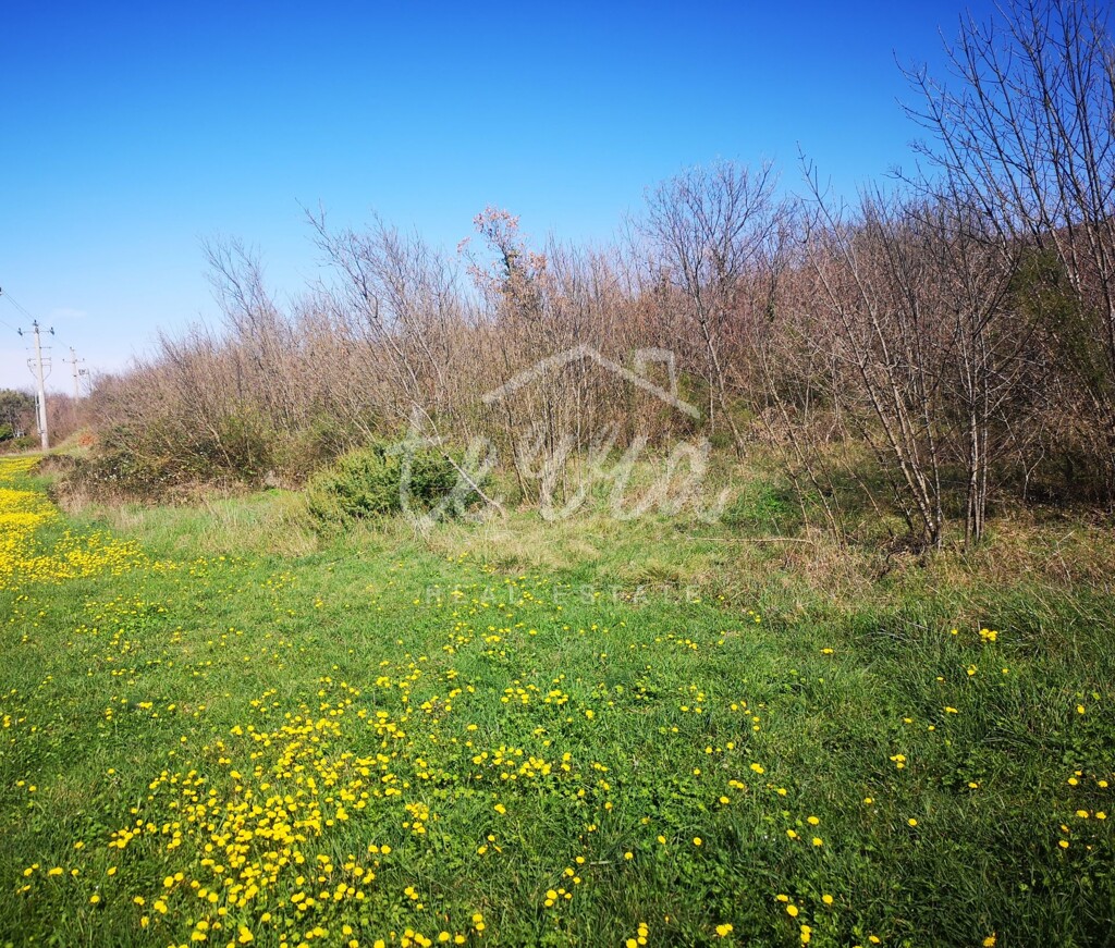 Image 6340243 - 1