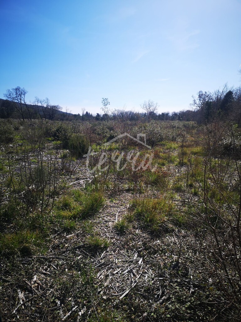 Image 6340244 - 2