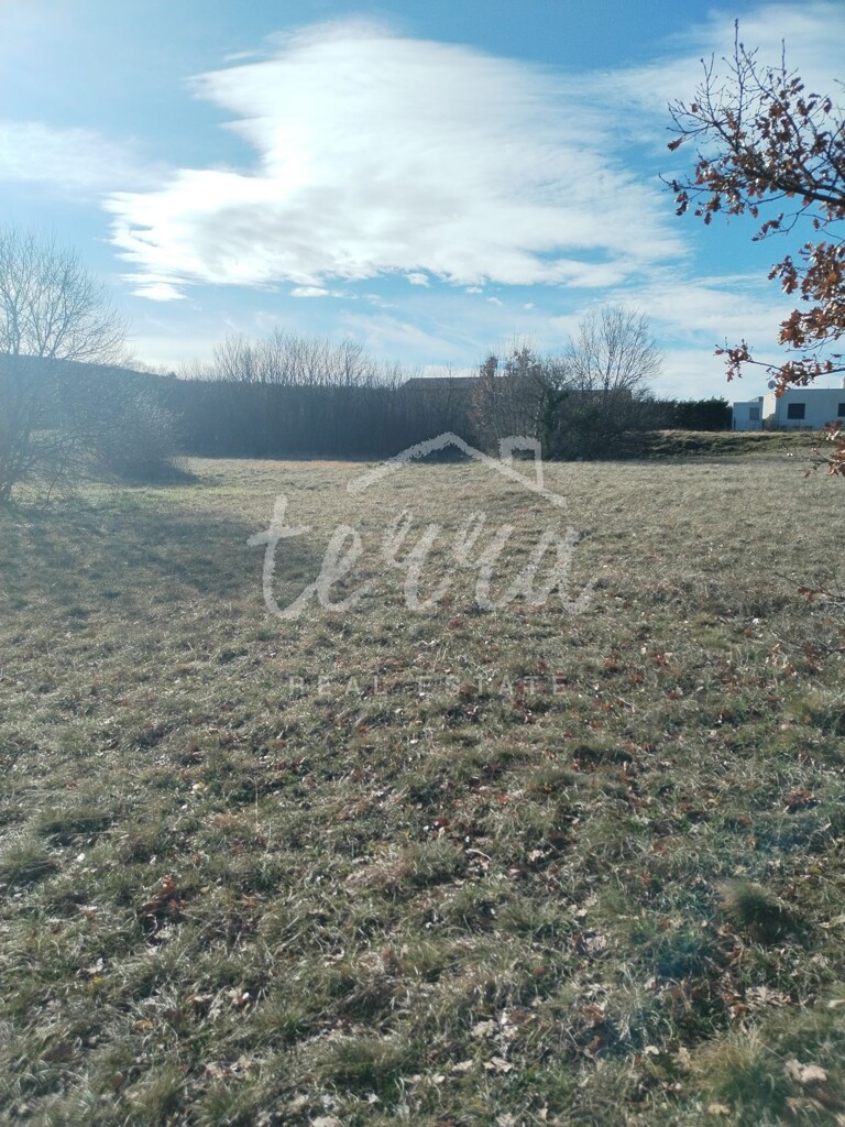 Image 6340259 - 6