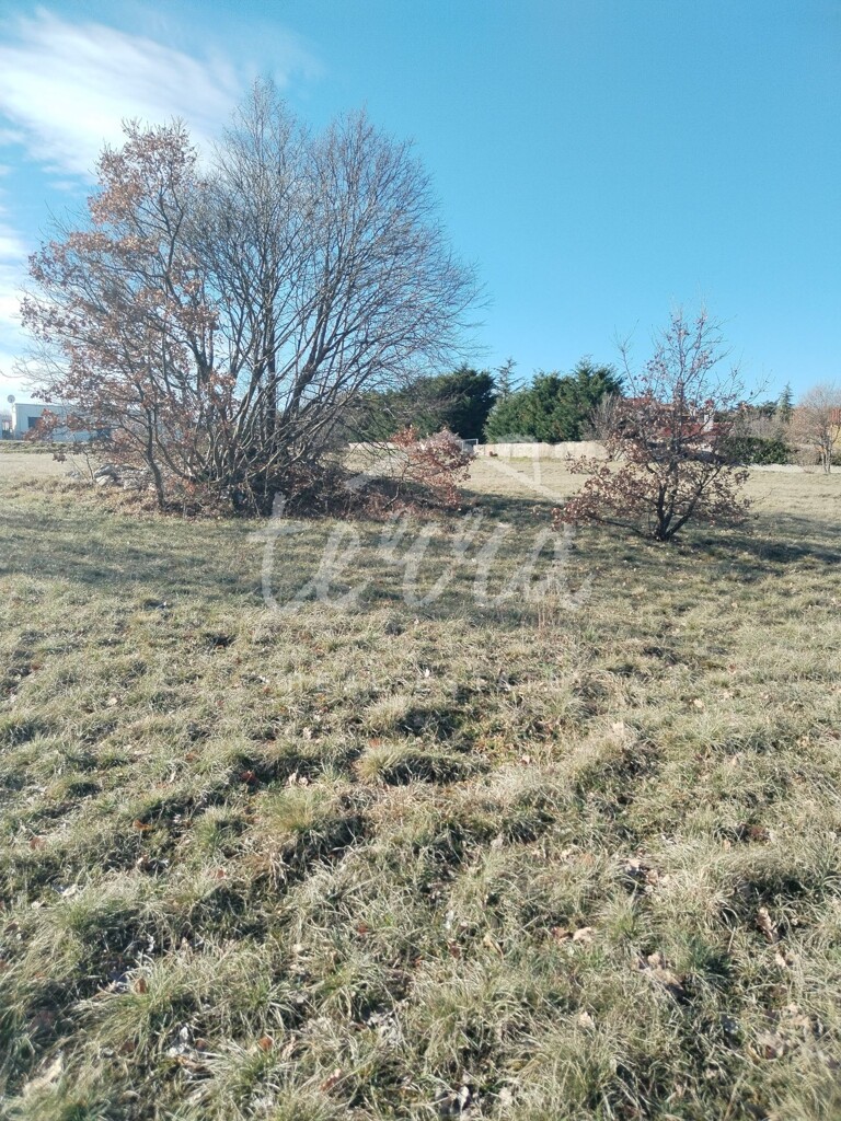 Image 6340263 - 2