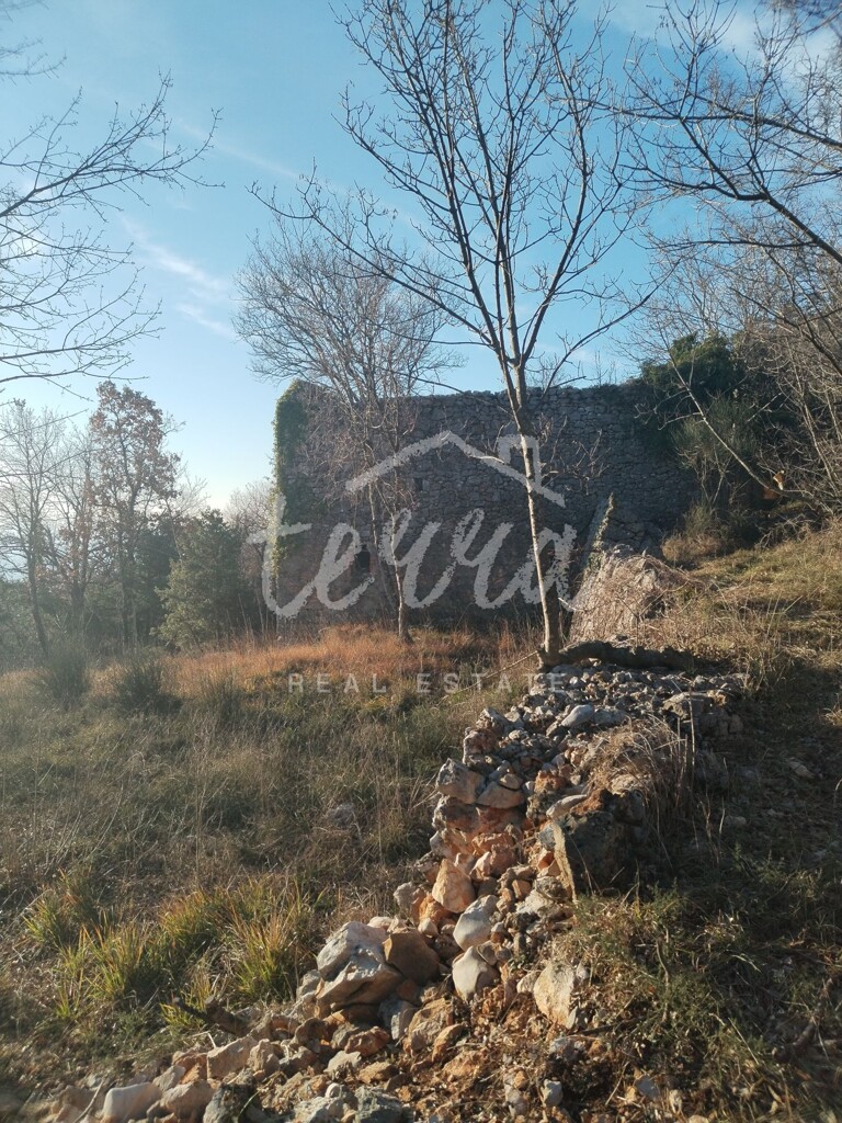 Image 6340269 - 5