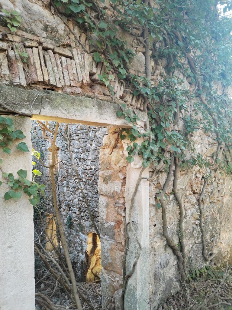 Image 6340269 - 10